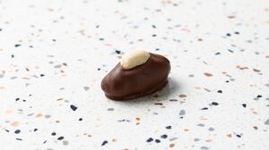 Drivu Peanut Chocolate Date