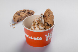 Drivu Chocolate Chip Crunch Ice Cream 