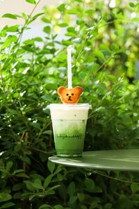 Drivu Bear Salted Vanilla latte