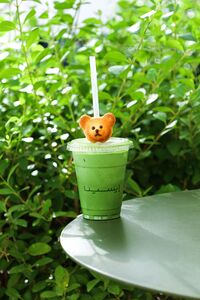 Drivu Bear Matcha Latte