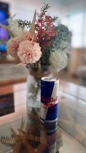 Drivu Redbull