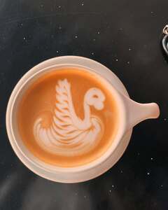 Drivu Hot Signature Latte