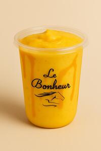 Drivu Mango Paradise