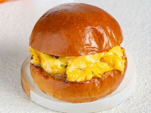 Drivu Round Egg Classic 