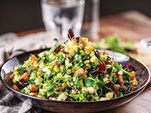 Drivu Corn Kernels Delight