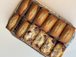 Drivu Gato's Signature Financier