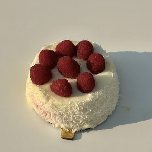 Drivu Coconut Cake “Raspberry”