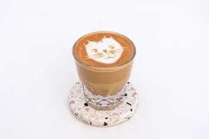 Drivu Spanish Cortado