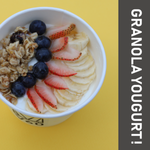Drivu Granola Yogurt Bowl