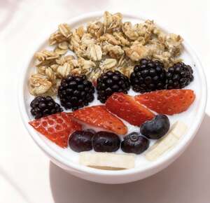 Drivu Granola Bowl