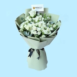 Drivu Angel’s Breath Roses