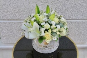 Drivu Cheerfulness White Flowers