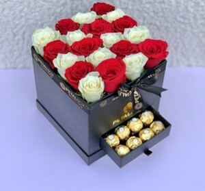 Drivu Red & White Tidbits