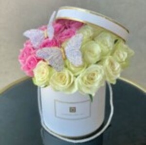 Drivu Butterfly Flower Box