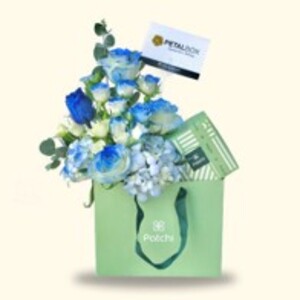 Drivu Azure Elegance Delight