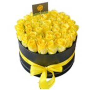 Drivu 40 Yellow Roses Box