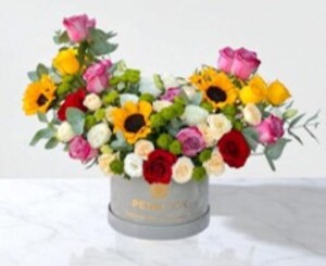 Drivu Delightful Mixed Blooming