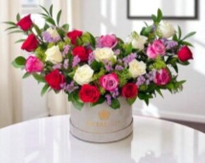 Drivu Delightful Mixed Roses