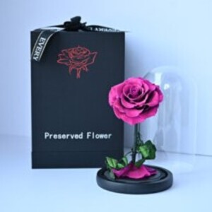 Drivu Purple Forever Rose