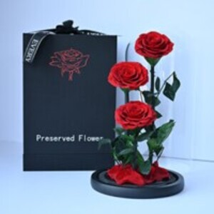 Drivu Triplets Red Forever Roses