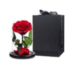 Drivu Red Forever Rose