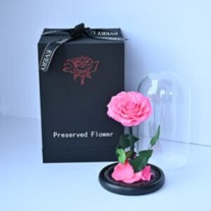 Drivu Pink Forever Rose