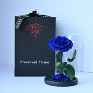 Drivu Blue Forever Rose
