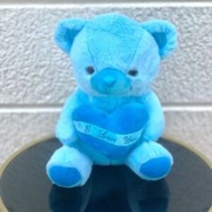 Drivu Blue Teddy Bear