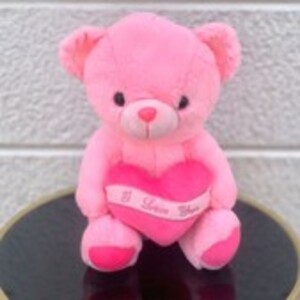 Drivu Pink Teddy Bear Love