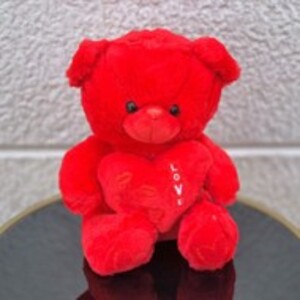Drivu Love Red Teddy Bear