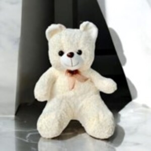 Drivu Off White Teddy Bear