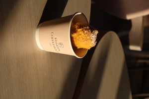 Drivu Mango Sorbet Bowl