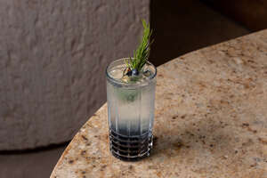 Drivu Blueberry Lagoon