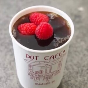 Drivu V6O with Raspberry