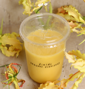 Drivu Mango Paradise 