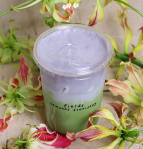 Drivu Ube Cloud Matcha  