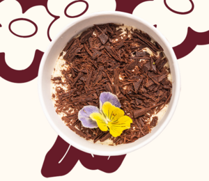 Chocolate Custard Pot  - Fields sharjah