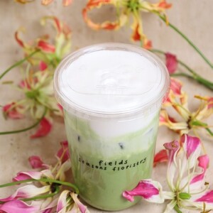 Drivu Day Dream Matcha