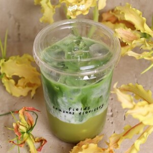 Drivu Matcha Pistachio