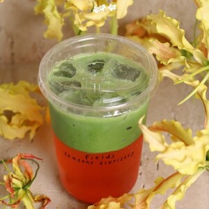 Drivu Coco Melon Matcha