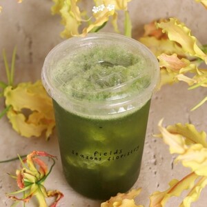 Drivu Fresh Lemon Mint