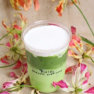 Drivu Pandan Matcha Cloud