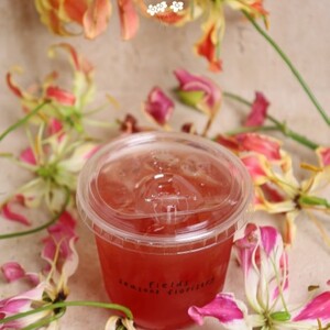 Drivu Watermelon Mocktail