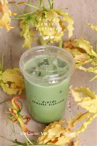 Drivu Matcha Classic 