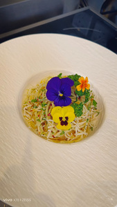 Drivu Pasta Aglio-Olio (Vegan)