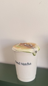 Drivu Hot S’mores Matcha Latte