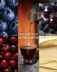 Drivu V60 Blueberry (Drivu Exclusive)