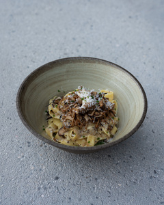 Drivu Truffle Mushroom Fettuccine