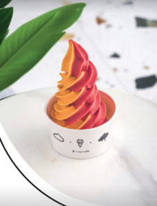 Drivu Watermelon & Mango Ice Cream