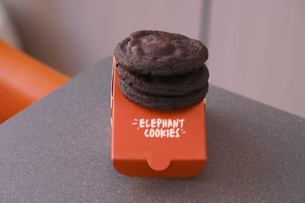Elephant Cookies Cafe AlHamidiya 1 